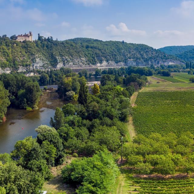 Chateau de Mercues et vallée du Lot