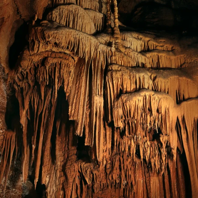 Grotte des Carbonnières à Lacave