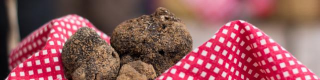 Au Marché aux truffes à Lalbenque