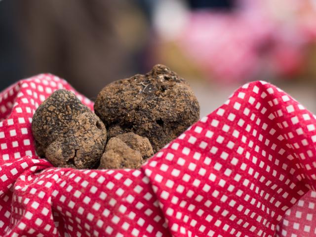 Au Marché aux truffes à Lalbenque