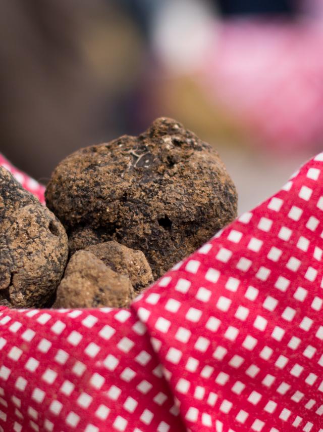 Au Marché aux truffes à Lalbenque