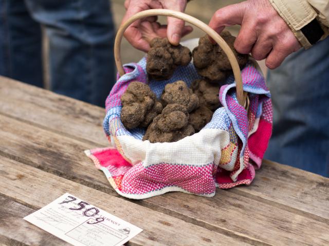 Au Marché aux truffes à Lalbenque