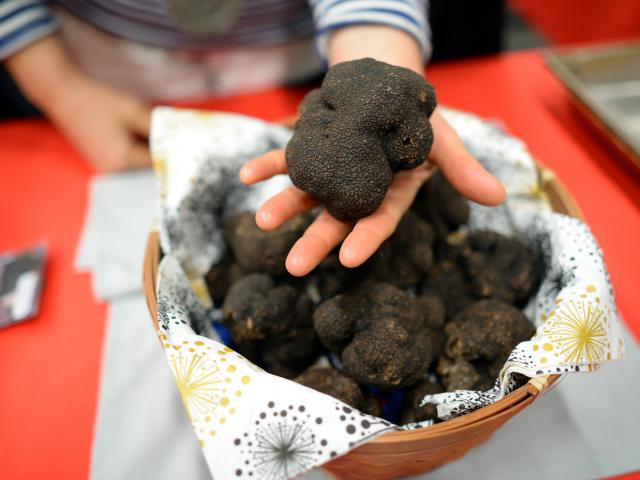 Truffe exceptionnelle - marché aux truffes de Cuzance