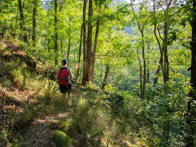 Descente du chemin vers le gouffre des cloches