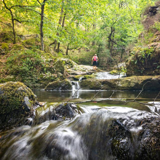 Ruisseaux du Ségala