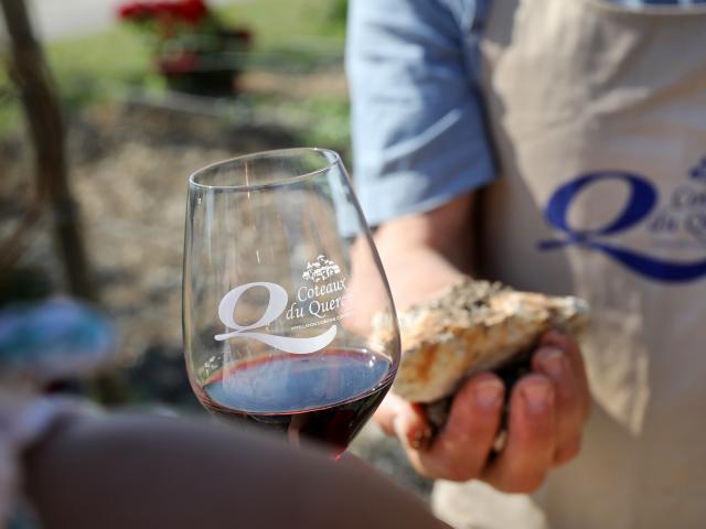 Découverte du vignoble des coteaux du Quercy