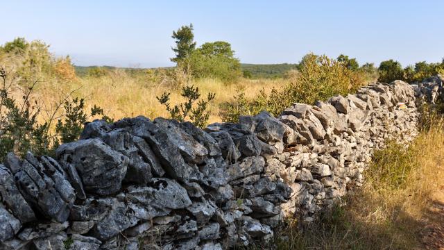 PR chemin de la Pierre Levée