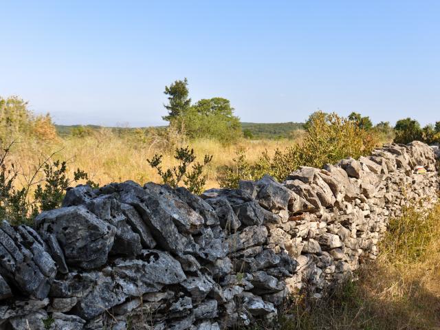 PR chemin de la Pierre Levée