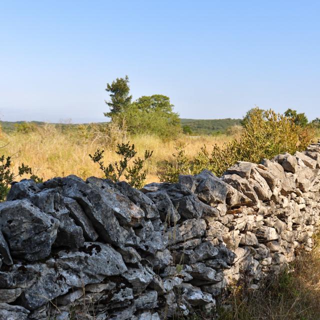 PR chemin de la Pierre Levée