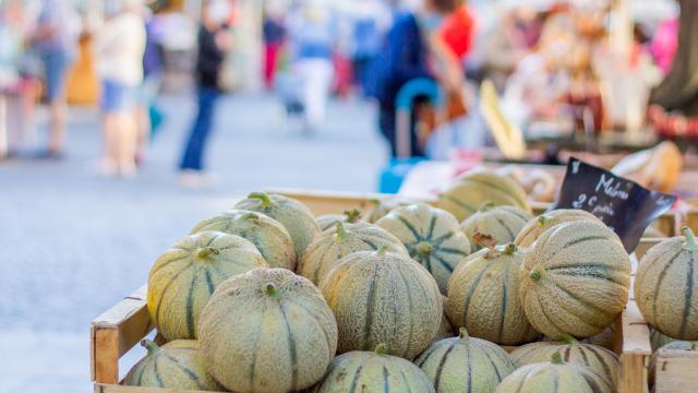 Melons sur le marché de Cahors