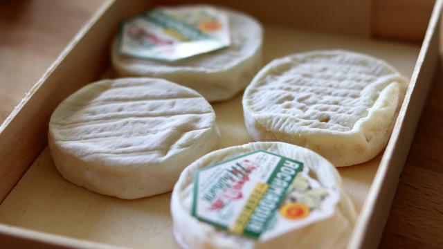 Fromage De Rocamadour