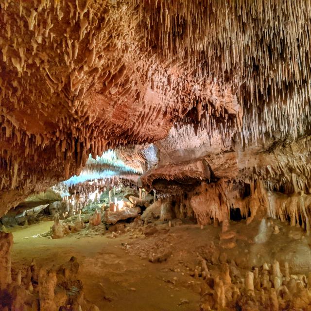 Grottes De Cougnac