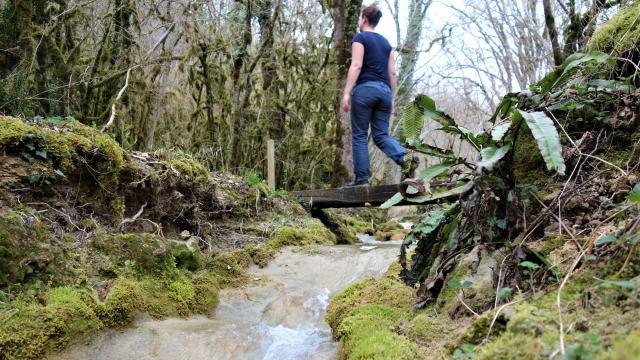 Pont Marcheuse