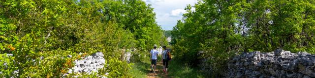 Chemin du causse