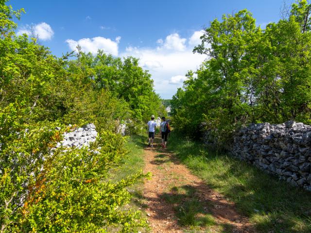 Chemin du causse