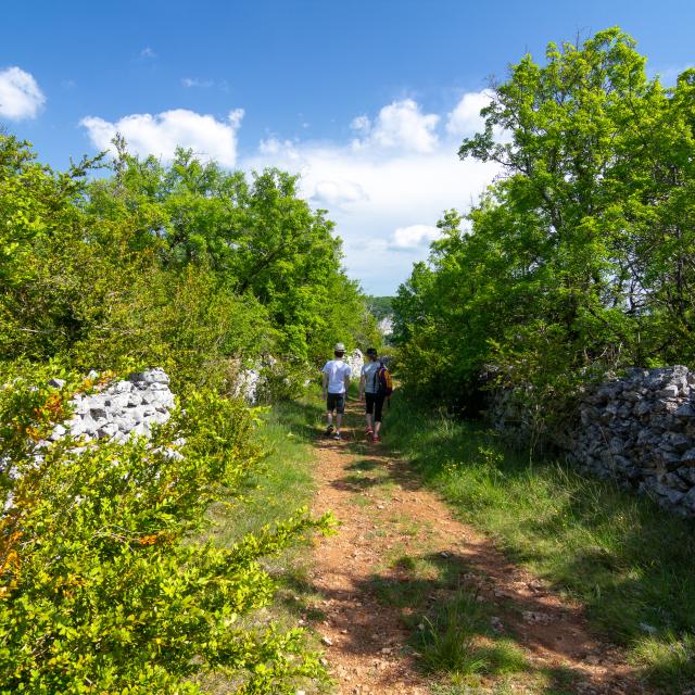 Chemin du causse