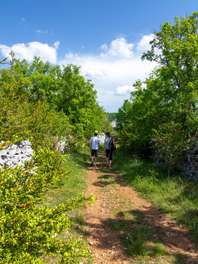 Chemin du causse