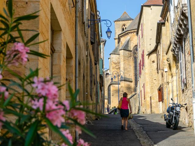 Laurier rose à Gourdon