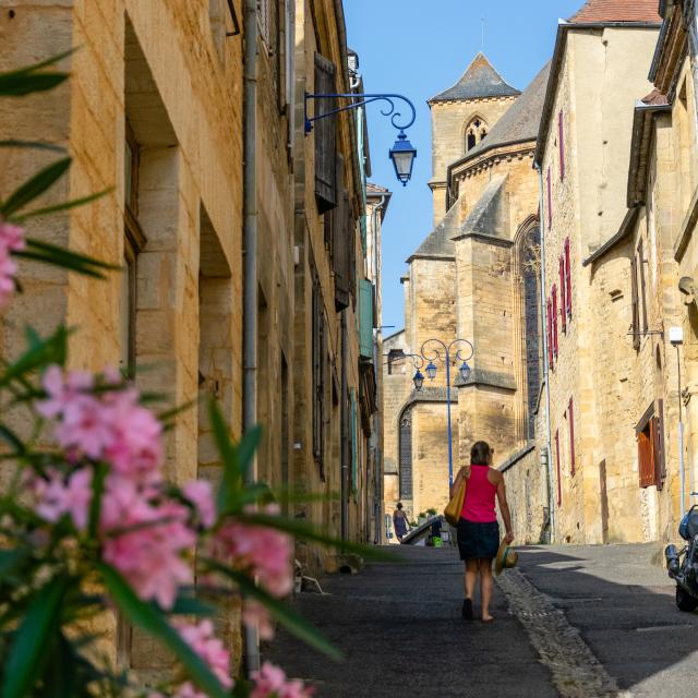 Laurier rose à Gourdon