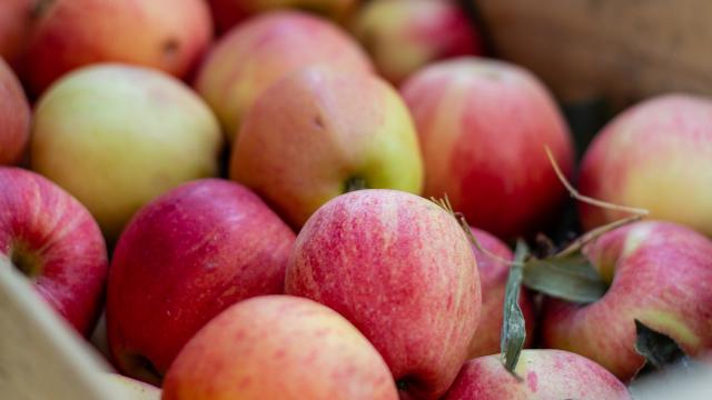 Pommes sur le marché de Cahors