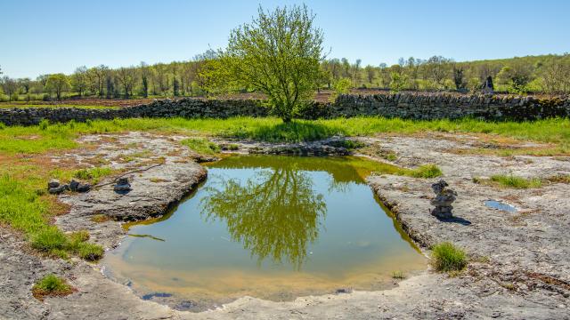 Lac de Saint-Namphaise à Quissac