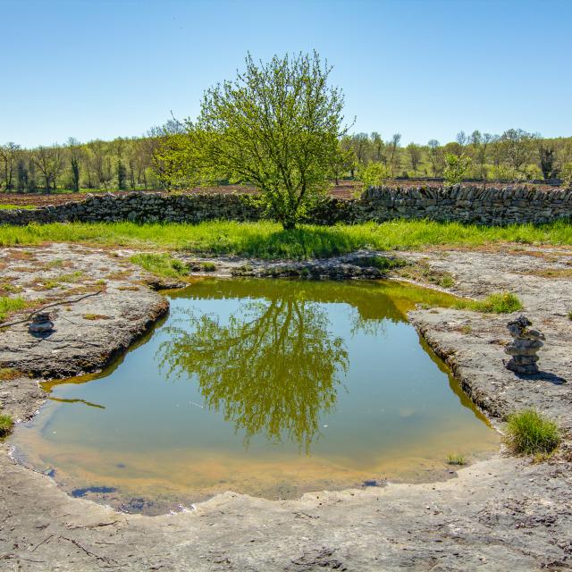 Lac de Saint-Namphaise à Quissac