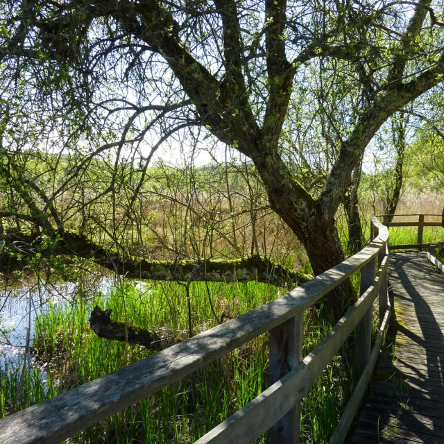 Marais De Bonnefont@lot Tourisme