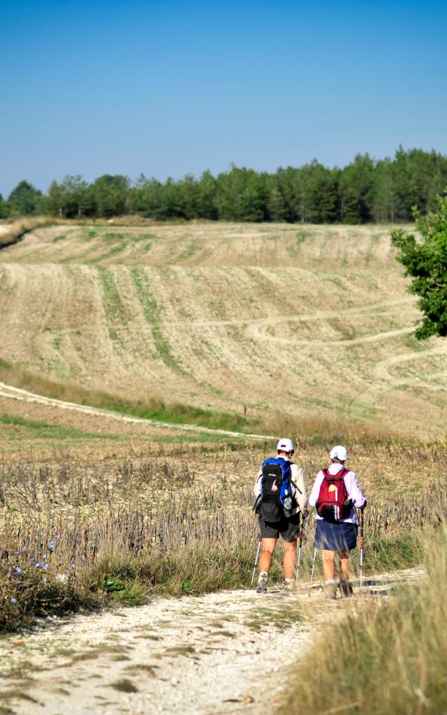 Sur le chemin de St Jacques en Quercy Blanc