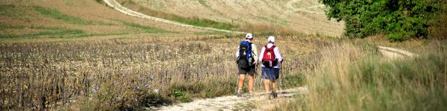 Sur le chemin de St Jacques en Quercy Blanc