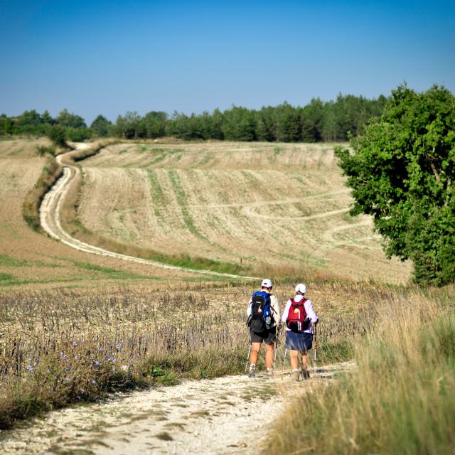 Sur le chemin de St Jacques en Quercy Blanc