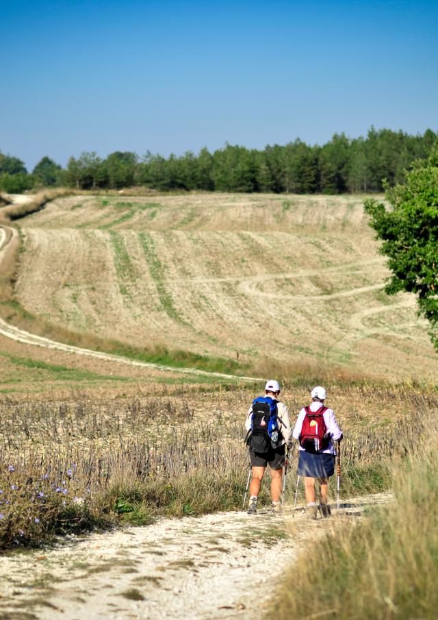 Sur le chemin de St Jacques en Quercy Blanc