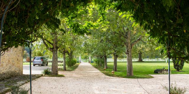 Allée du Château La Gineste