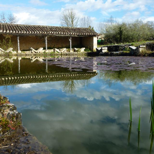 Lavoir papillon de l'escabasse