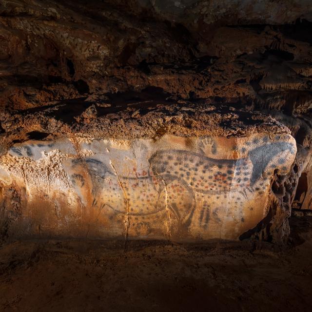 Chevaux ponctués - vue très large - Grotte du Pech Merle