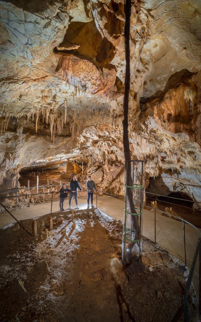 Racine et enfants - Grotte du Pech Merle