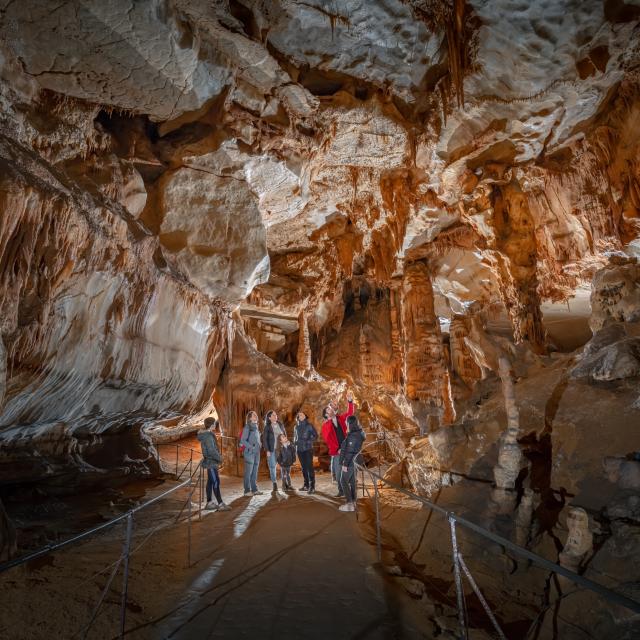 Galerie de l'Ours - vue large - Grotte du Pech Merle