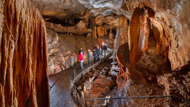 Salle des disques avec public - Grotte du Pech Merle.