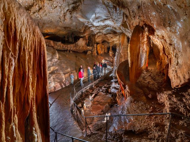 Salle des disques avec public - Grotte du Pech Merle.