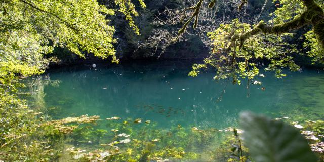 Experience Trotxtrem Resurgence De Cabouy Poissons