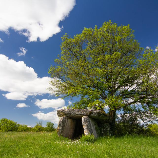 Dolmen à Varaire