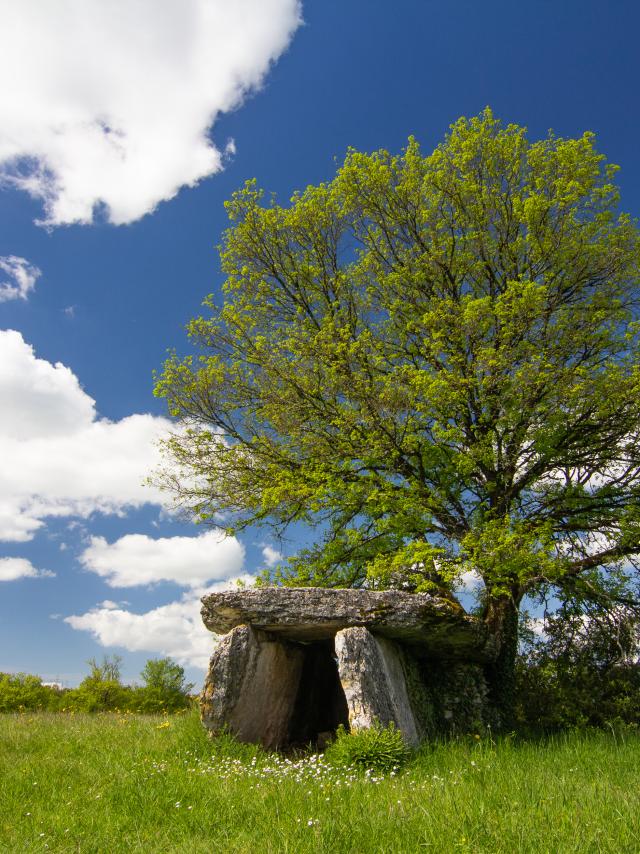 Dolmen à Varaire