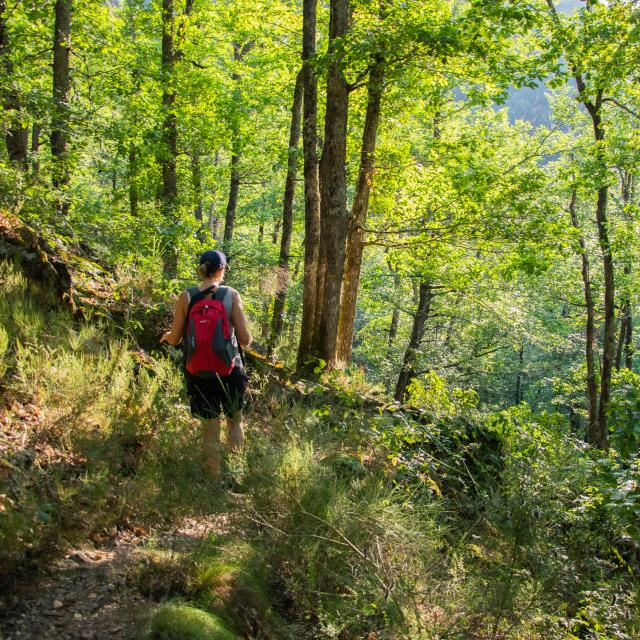 Descente du chemin vers le gouffre des cloches