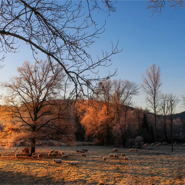 Février - Le causse en hiver fond écran