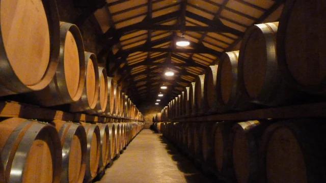 Chai à barriques - Château de Chambert