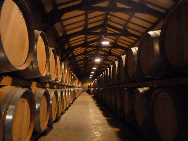 Chai à barriques - Château de Chambert