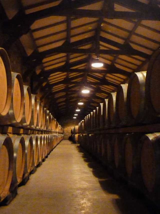 Chai à barriques - Château de Chambert