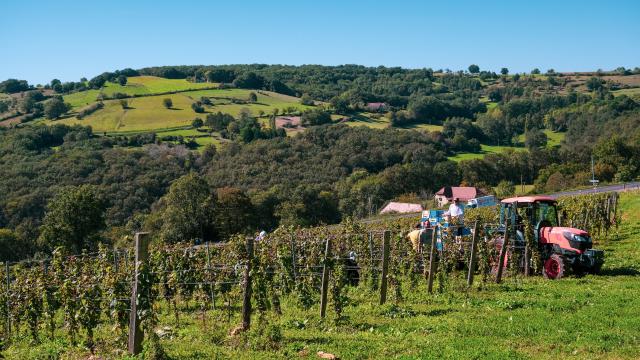 Vignes avec jolie vue à la Vinadie