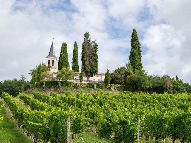 Eglise Saint-Etienne et ses vignes