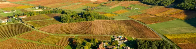 Vue aériene du Vignoble de Cahors - le Caillau à Vire-sur-Lot