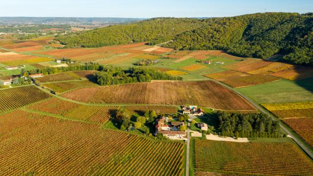 Vue aériene du Vignoble de Cahors - le Caillau à Vire-sur-Lot